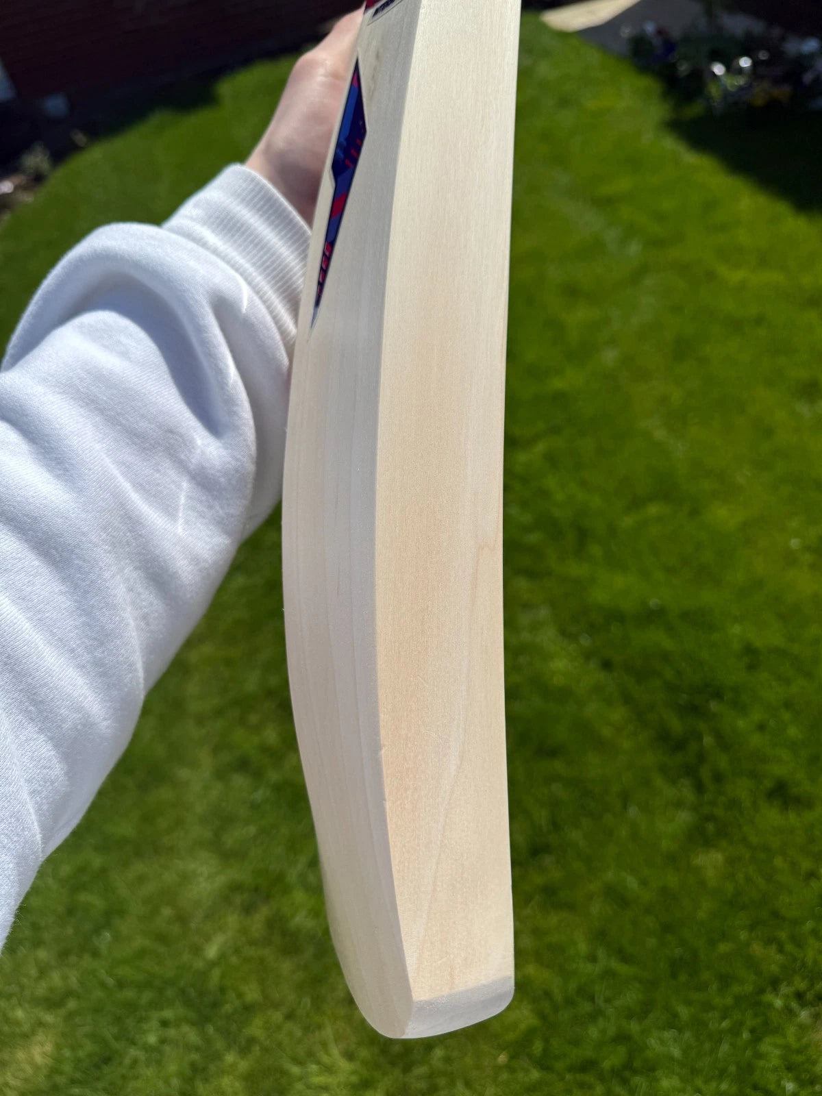 DSC Intense Rage Cricket Bat Short Handle 2lbs 8oz