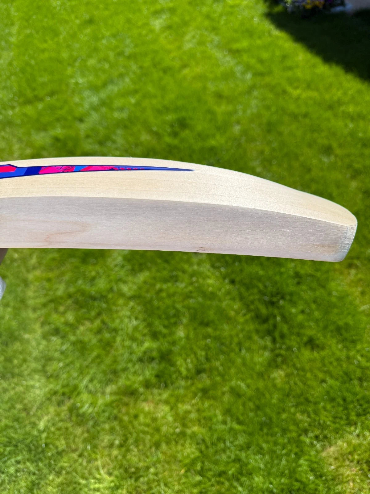DSC Intense Rage Cricket Bat Short Handle 2lbs 8oz