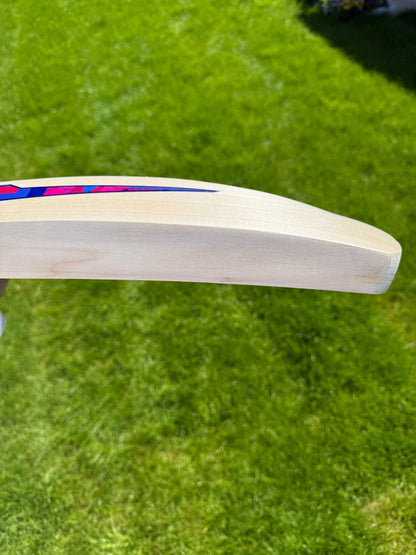 DSC Intense Rage Cricket Bat Short Handle 2lbs 8oz