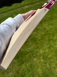 DSC Intense Shoc Lightweight Cricket Bat Short Handle 2lbs 8oz