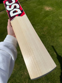 DSC Intense Shoc Lightweight Cricket Bat Short Handle 2lbs 8oz