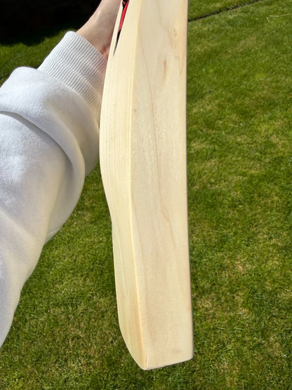 DSC Intense Shoc Lightweight Cricket Bat Short Handle 2lbs 8oz