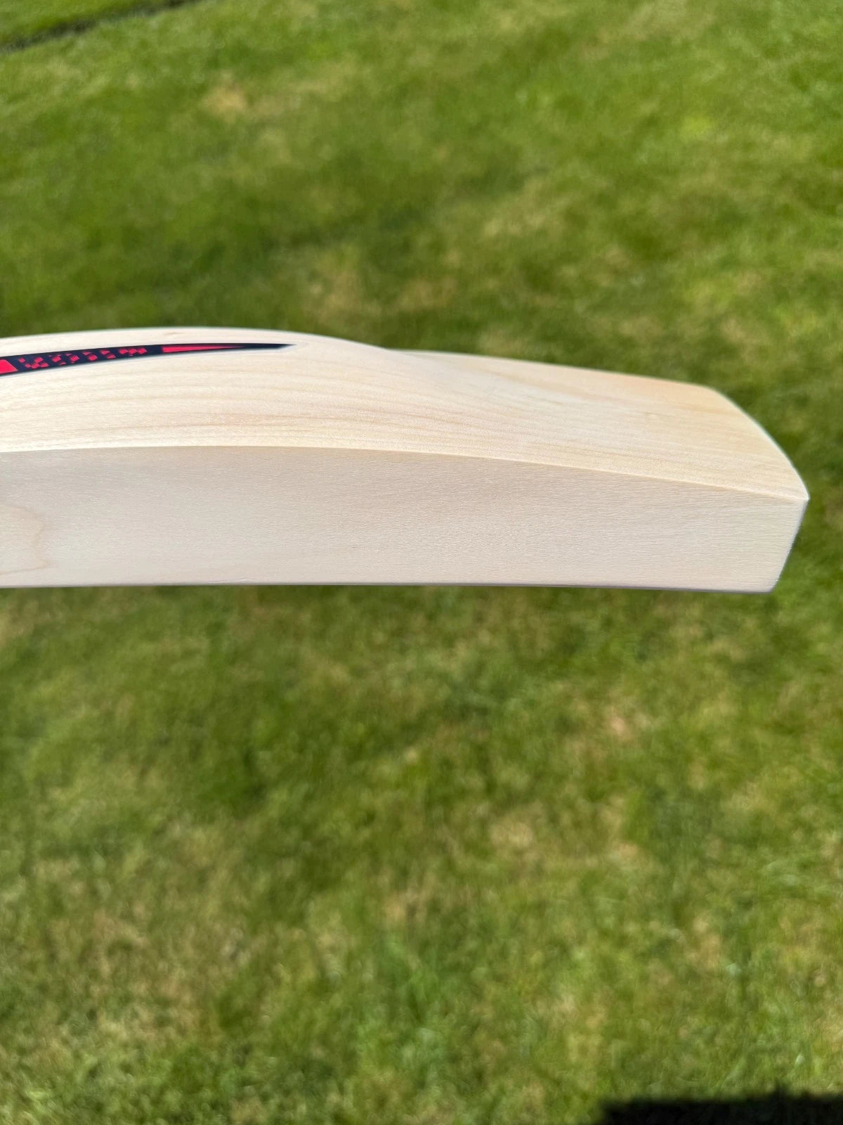 DSC Intense Shoc Lightweight Cricket Bat Short Handle 2lbs 8oz