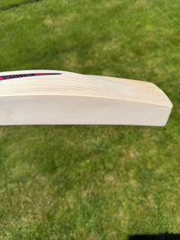 DSC Intense Shoc Lightweight Cricket Bat Short Handle 2lbs 8oz