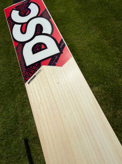 DSC Intense Shoc Lightweight Cricket Bat Short Handle 2lbs 8oz