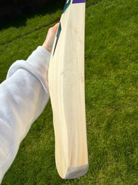 DSC RS040 Lightweight Cricket Bat Short Handle 2lbs 9oz