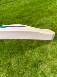 DSC RS040 Lightweight Cricket Bat Short Handle 2lbs 9oz
