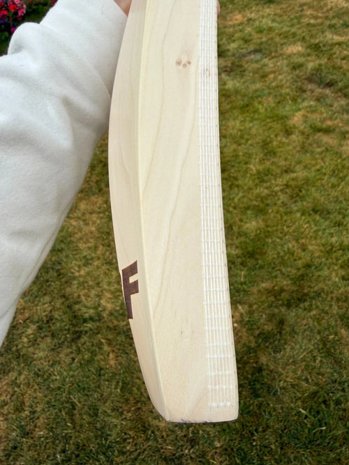 SF Rapa Fusion Cricket Bat Short Handle 2lbs 9oz