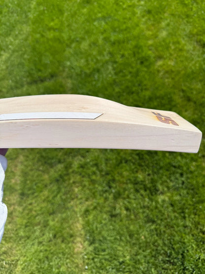 SF Stanford Sapphire Heritage Cricket Bat Short Handle 2lbs 9oz
