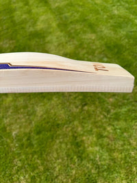 SS TON SKY Fire Cricket Bat Short Handle 2lbs 9oz