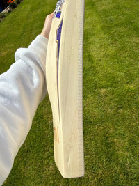 SS TON SKY Fire Cricket Bat Short Handle 2lbs 9oz