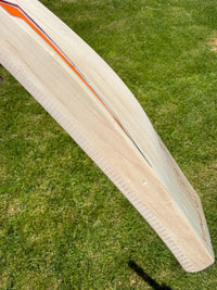 SS TON Players 5000 Cricket Bat Ravindra Jadeja