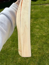 SS TON Players 5000 Cricket Bat Ravindra Jadeja