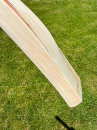 SS TON Players 5000 Cricket Bat Ravindra Jadeja