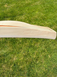 SS TON Players 5000 Cricket Bat Ravindra Jadeja