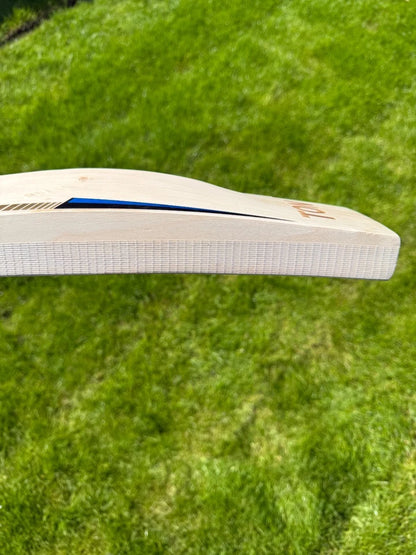 SS TON Players 5000 Nicholas Pooran Cricket Bat Short Handle 2lbs 9oz