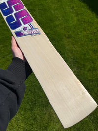 SS TON SKY Blaster Cricket Bat Short Handle 2lbs 8oz