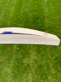 SS TON SKY Fire Cricket Bat Short Handle 2lbs 9oz
