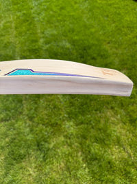 SS TON SKY Thunder Cricket Bat Short Handle 2lbs 9oz