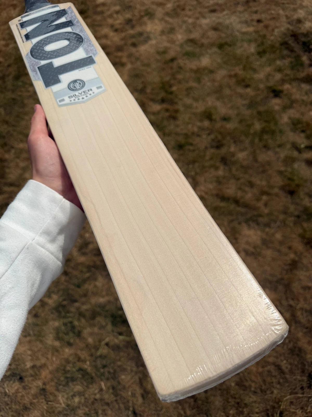 SS TON Silver Edition Grade 1 Cricket Bat