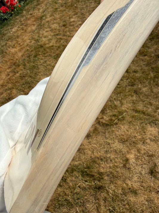 SS TON Silver Edition Grade 1 Cricket Bat