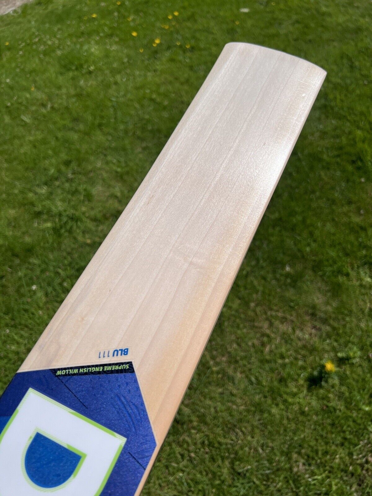 DSC Blu 111 Cricket Bat 2lbs 10oz