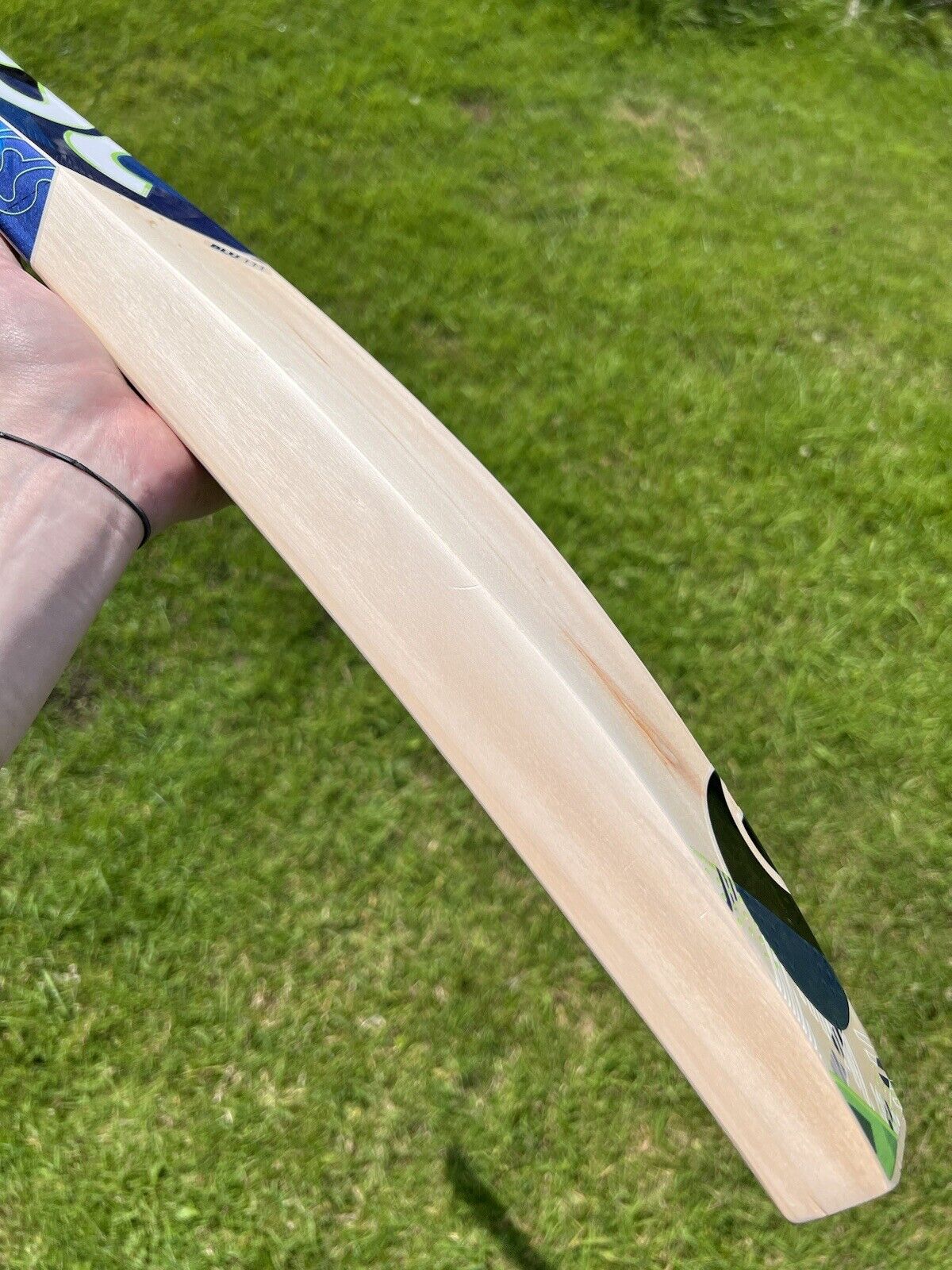 DSC Blu 111 Cricket Bat 2lbs 10oz