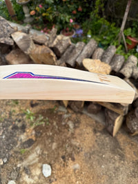 SS Sky Blaster Cricket Bat Short Handle 2lbs 9oz