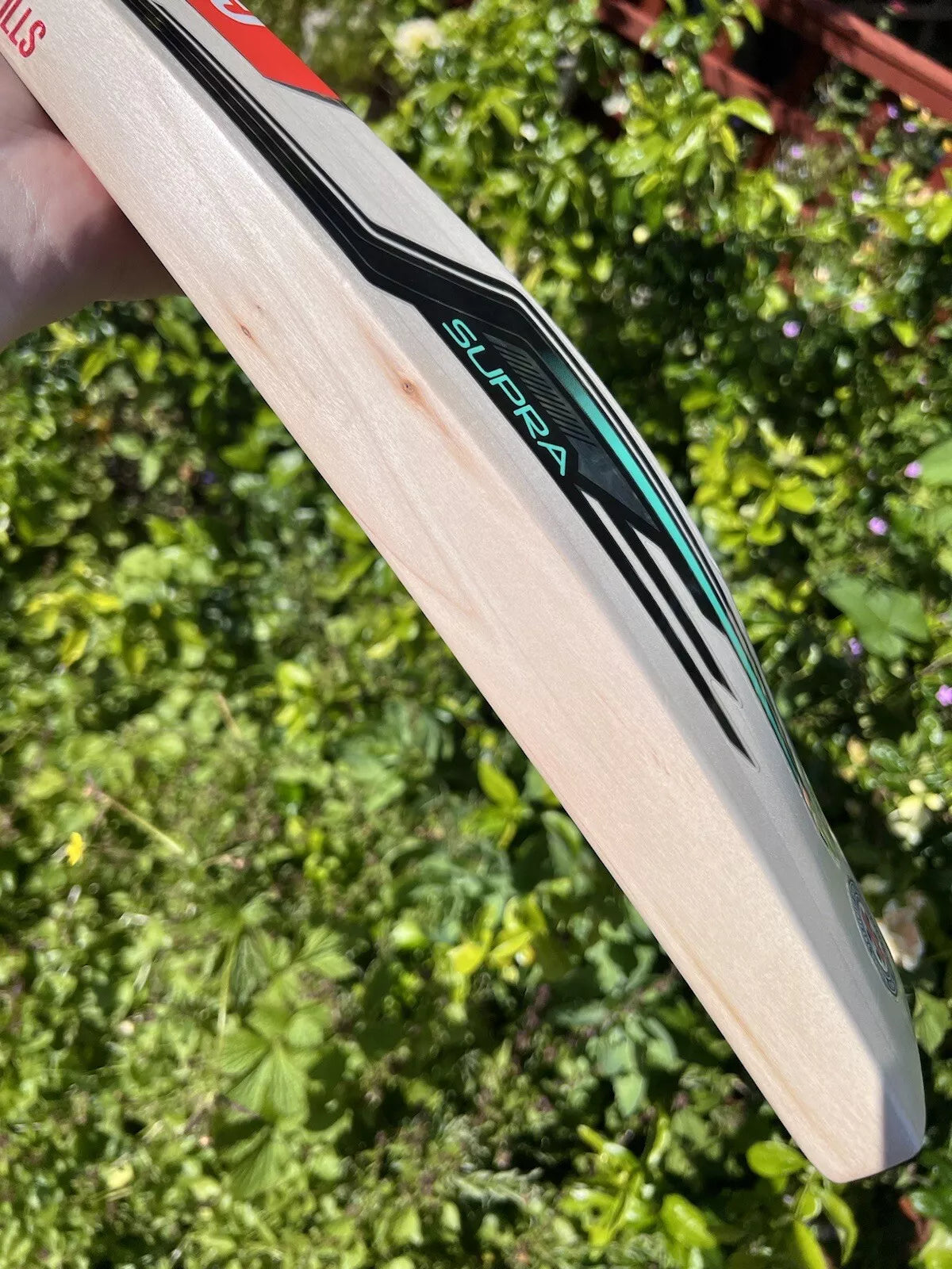 Gray Nicolls Supra BEAST Cricket Bat 2lbs 10oz Short Handle